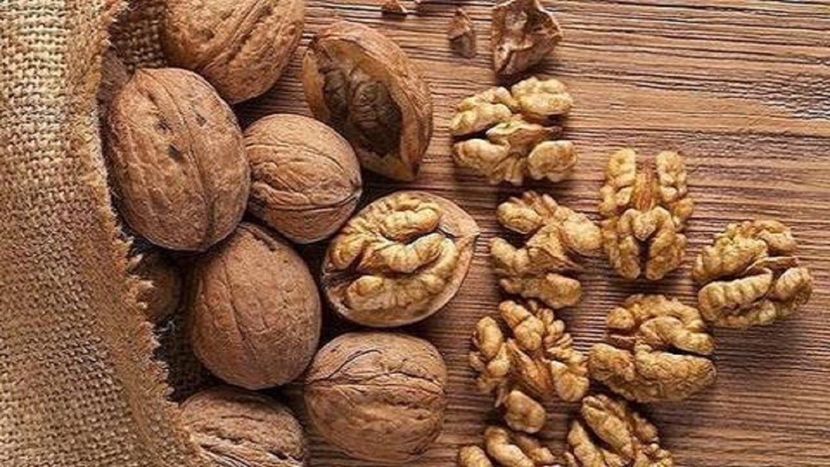 Buy shelled walnuts price per pound + best price