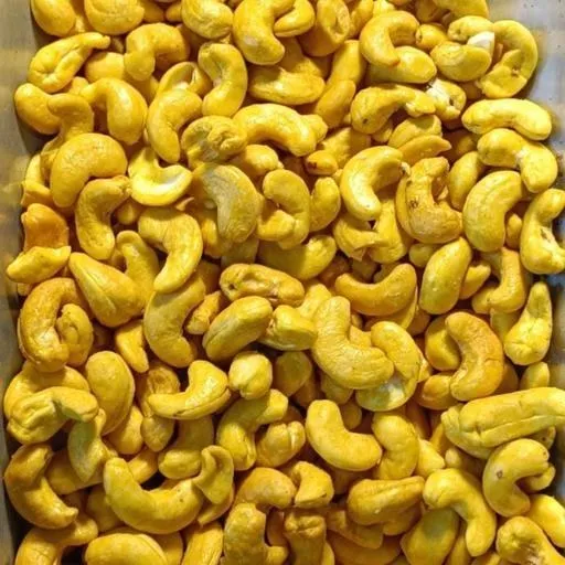 cashew nut industry in gujarat