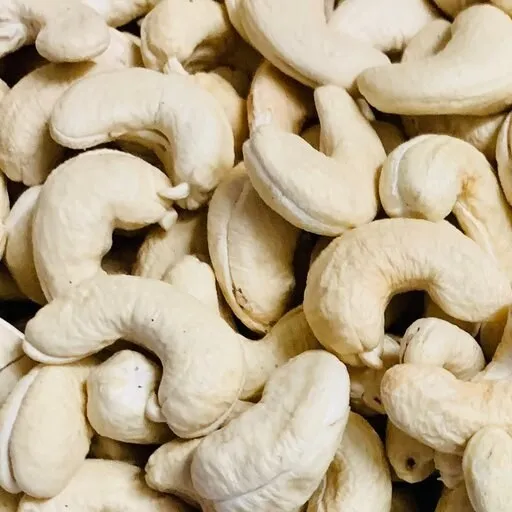 cashew nut industry in gujarat