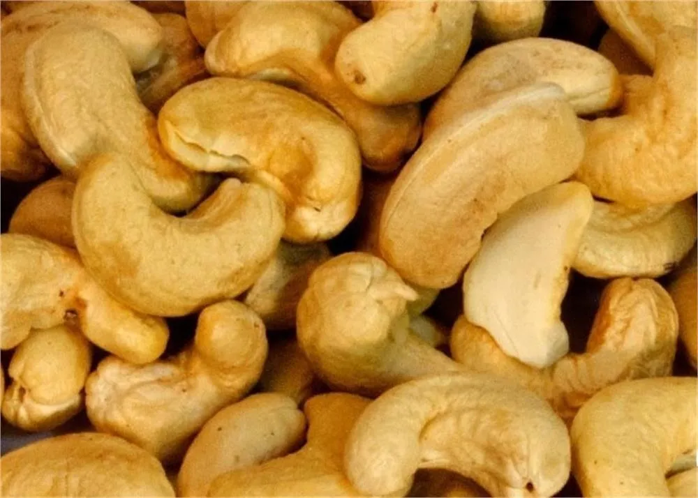 cashew market size in india