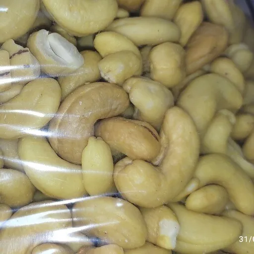 cashew nut industry in karnataka