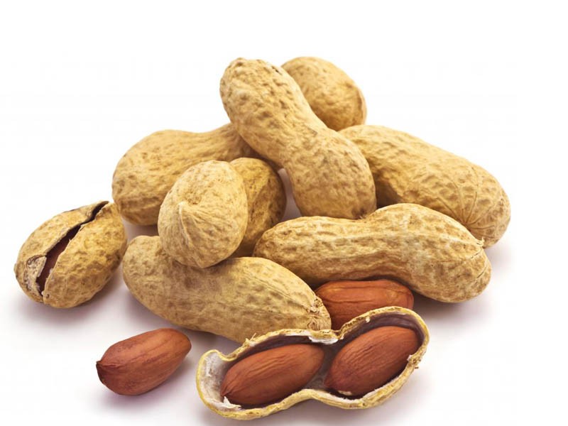 best roasted peanuts