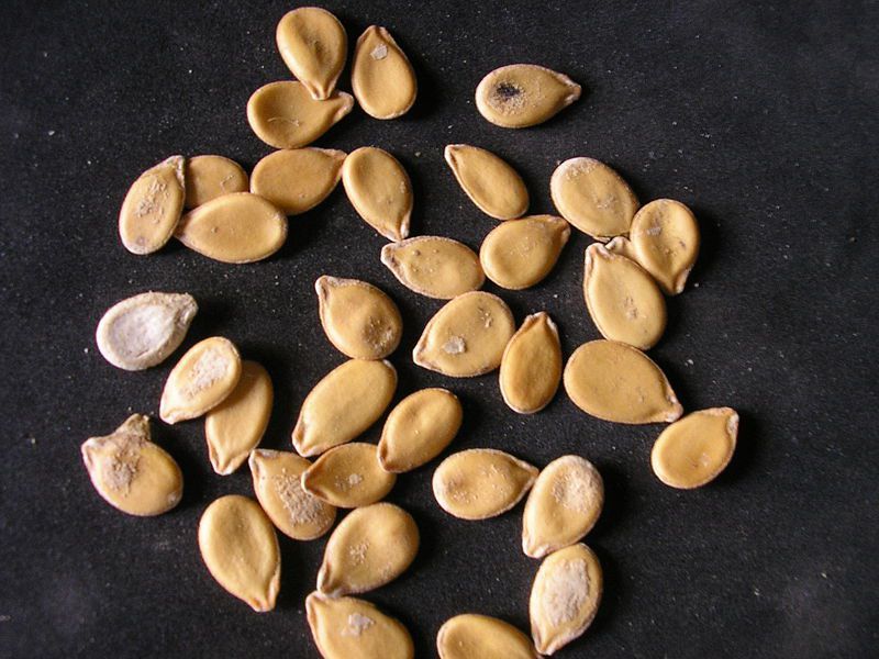 pumpkin seeds aldi