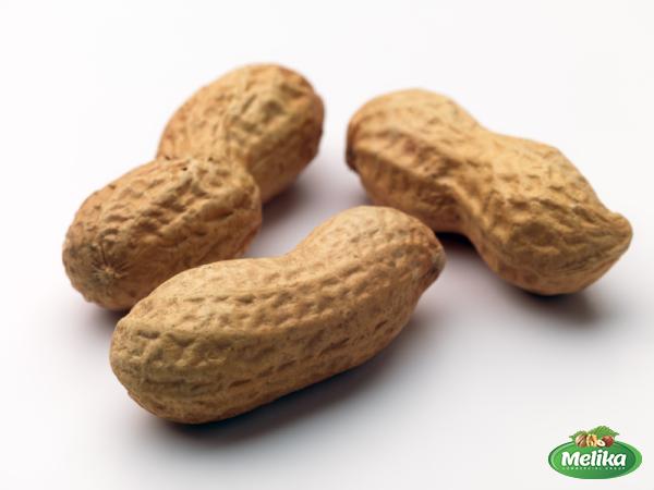 Roasted peanuts in shell Costco | Buy at a cheap price