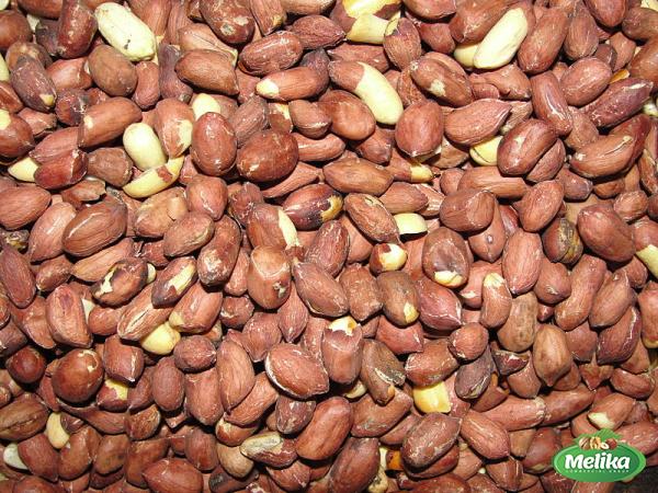 Roasted peanuts bulk 2023 price list